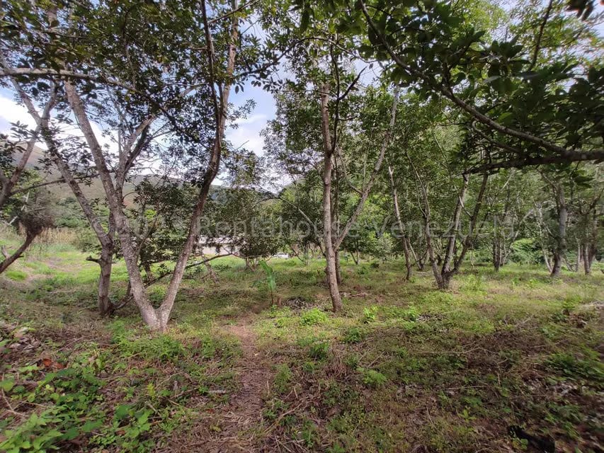 Casa (1 Nivel) en Venta en Asentamiento Campesino Santa Rosalia, Aragua - 30