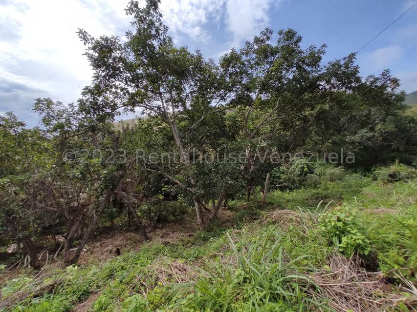 Casa (1 Nivel) en Venta en Asentamiento Campesino Santa Rosalia, Aragua - 31