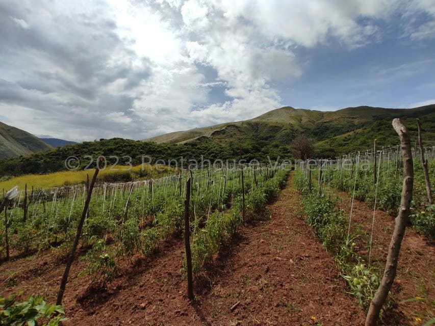Casa (1 Nivel) en Venta en Asentamiento Campesino Santa Rosalia, Aragua - 36