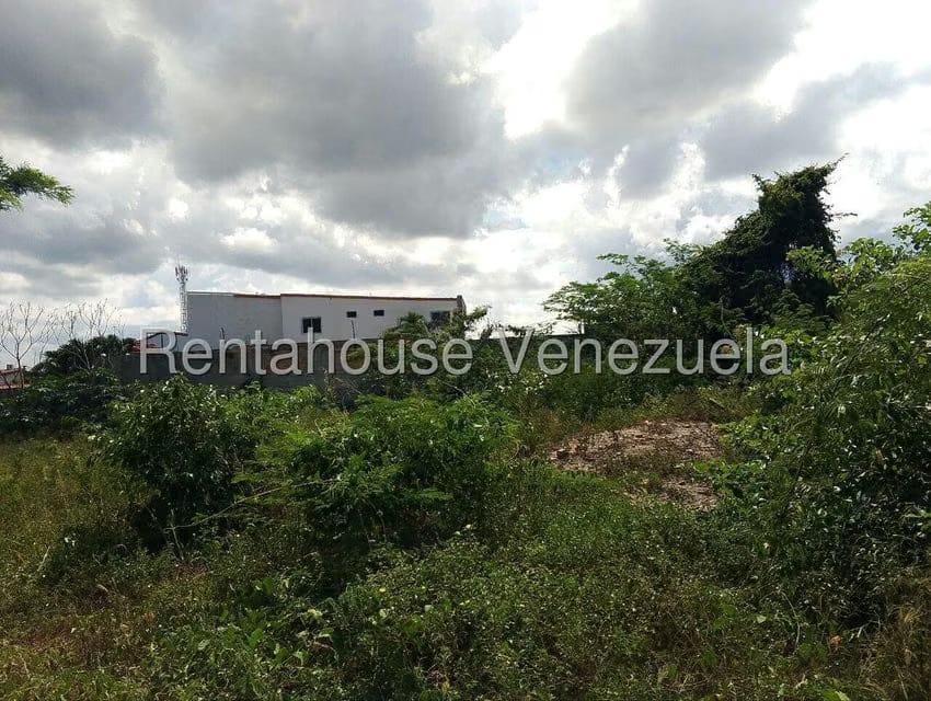 Terreno (Comercial) en Venta en Los Rastrojos, Lara - 11