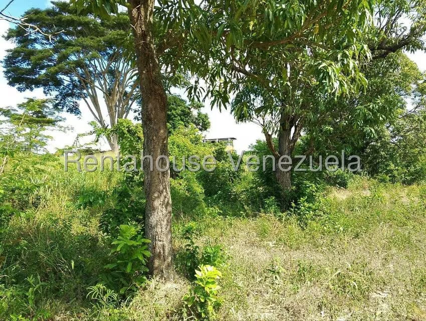 Terreno (Comercial) en Venta en Los Rastrojos, Lara - 13