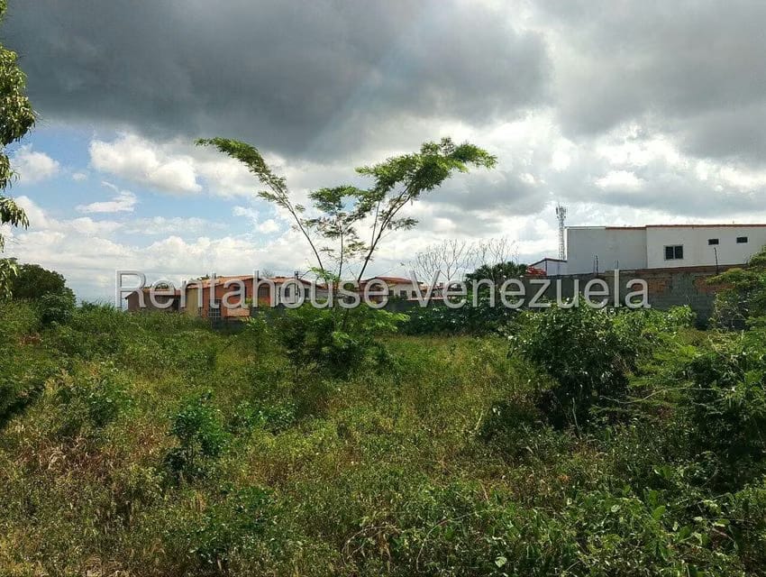 Terreno (Comercial) en Venta en Los Rastrojos, Lara - 14