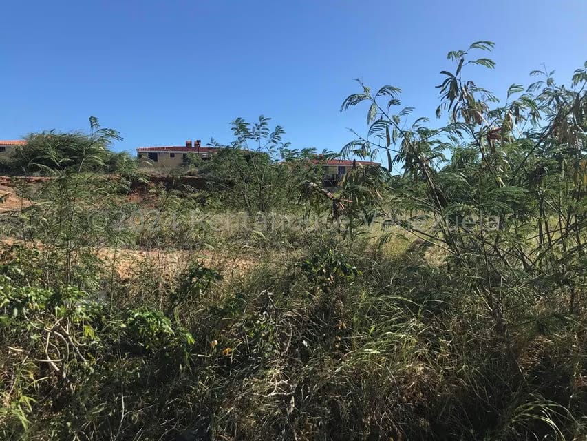 Terreno (Comercial) en Venta en Porlamar, Nueva Esparta - 3
