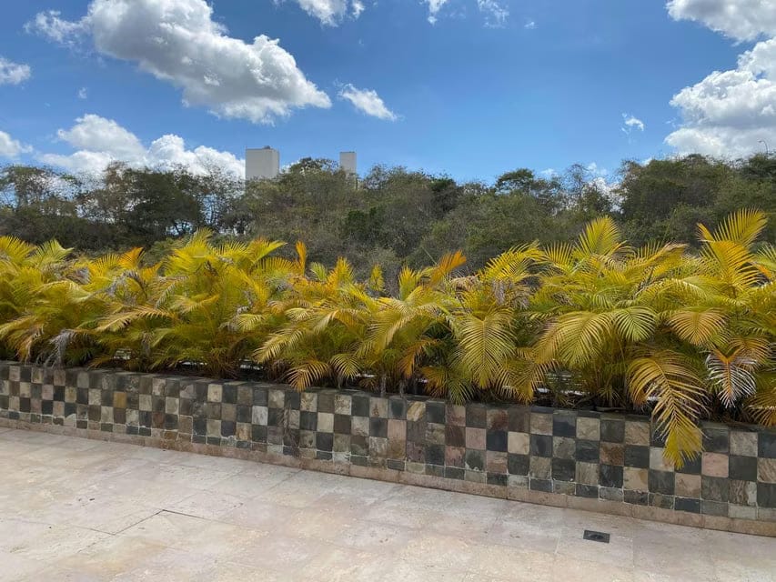 Apartamento (1 Nivel) en Venta en Colinas de Valle Arriba, Distrito Metropolitano - 79