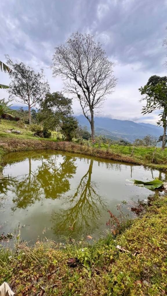 Venta Casa de Campo y Granja en Cordero Sector los Ranchos - 12