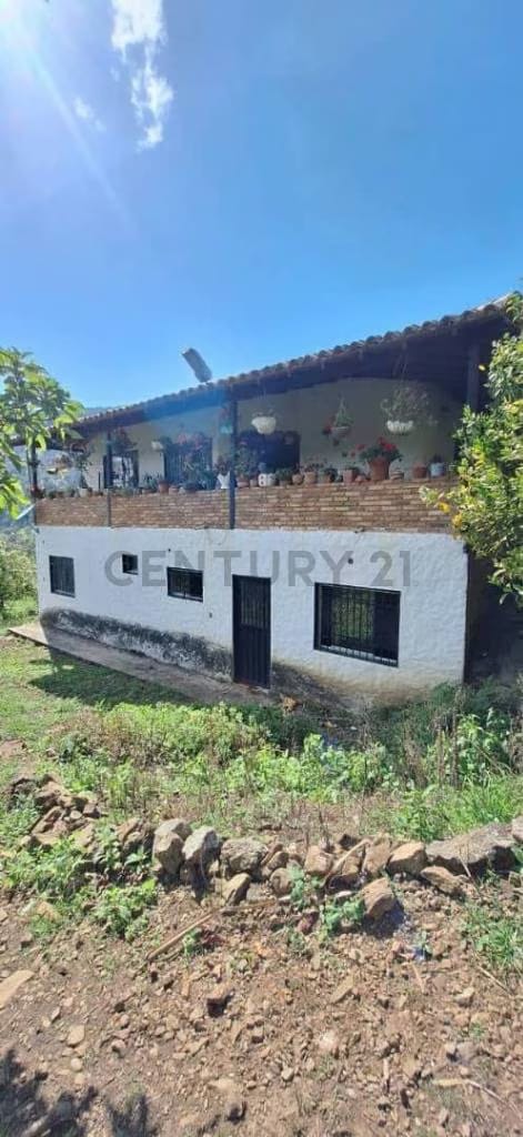 Venta Casa de Campo y Granja en Cordero Sector los Ranchos - 3