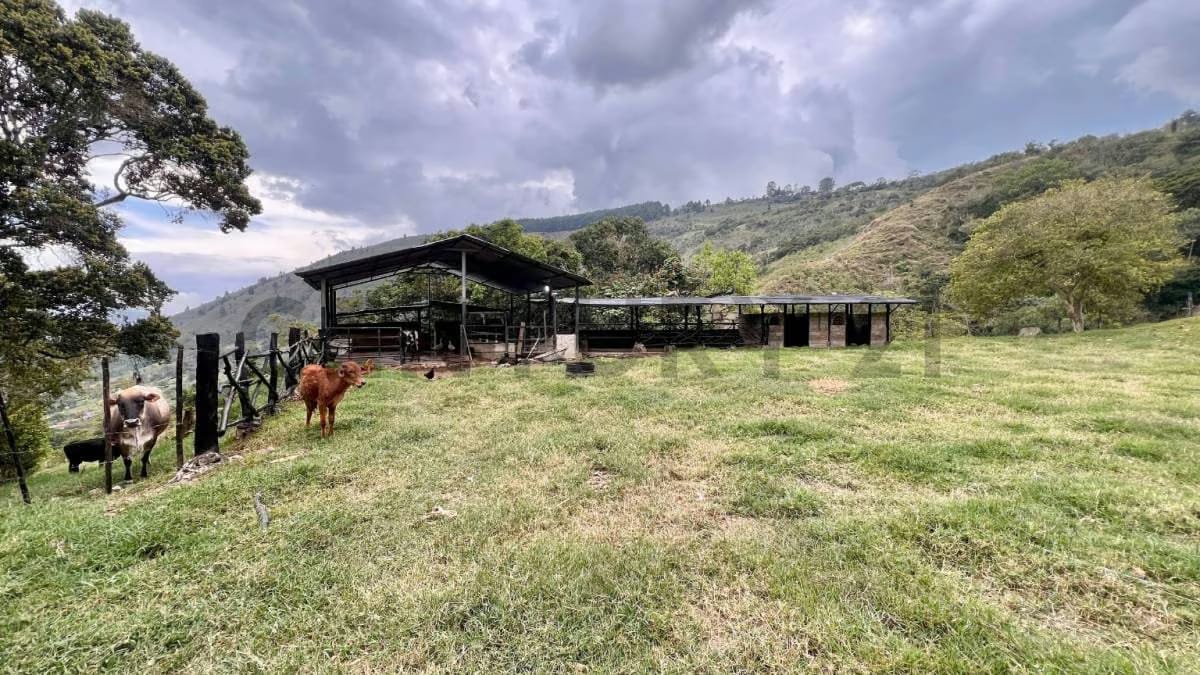 Venta Casa de Campo y Granja en Cordero Sector los Ranchos - 10