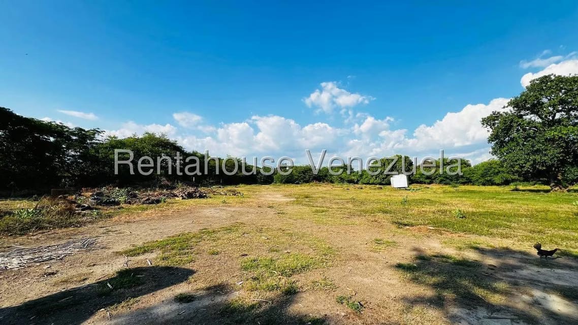 Terreno (Comercial) en Venta en Centro Palo Negro, Aragua - 5