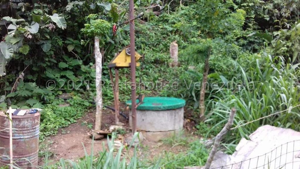Terreno (Finca) en Venta en Sector El Kiosko, Yaracuy - 2