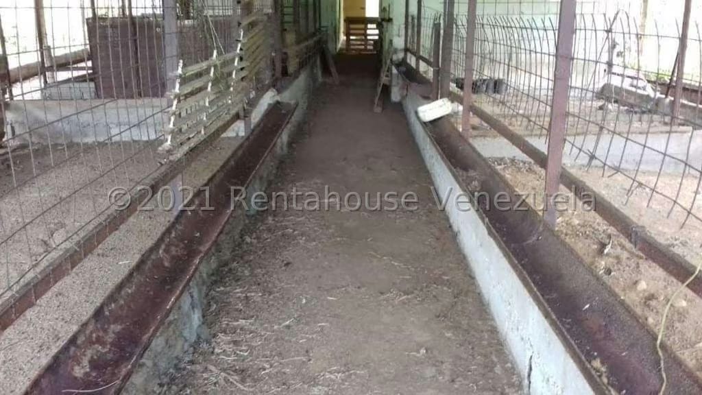 Terreno (Finca) en Venta en Sector El Kiosko, Yaracuy - 3