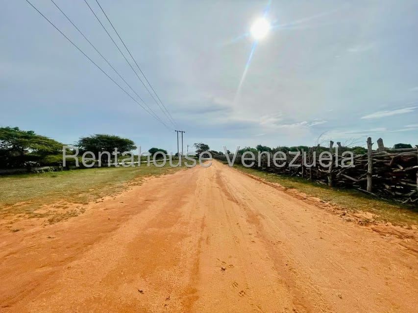 Terreno (Comercial) en Venta en Pueblo Nuevo, Falcon - 2