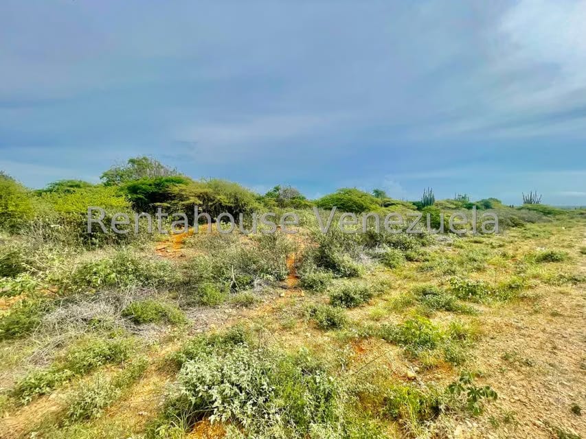 Terreno (Comercial) en Venta en Pueblo Nuevo, Falcon - 11