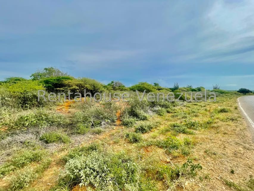 Terreno (Comercial) en Venta en Pueblo Nuevo, Falcon - 12