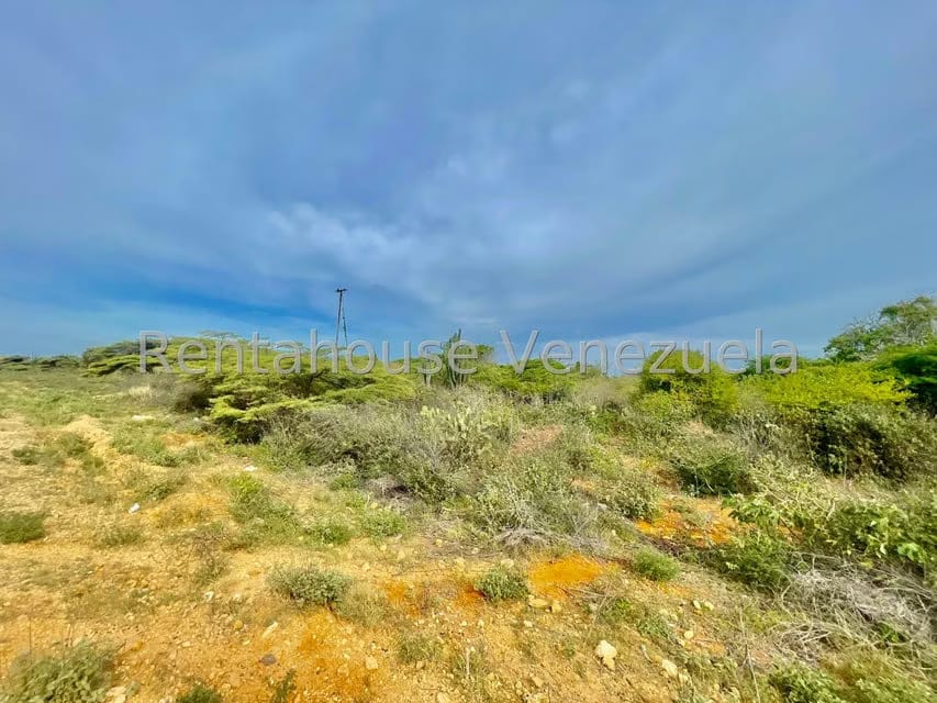 Terreno (Comercial) en Venta en Pueblo Nuevo, Falcon - 13