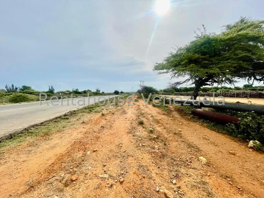 Terreno (Comercial) en Venta en Pueblo Nuevo, Falcon - 15