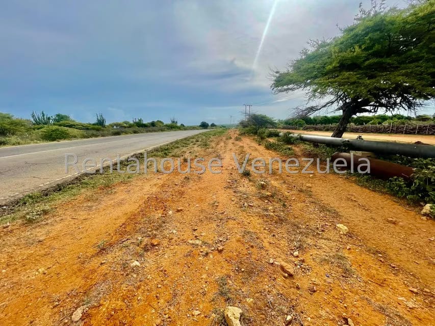 Terreno (Comercial) en Venta en Pueblo Nuevo, Falcon - 16