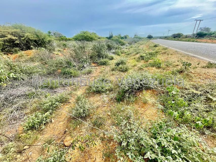 Terreno (Comercial) en Venta en Pueblo Nuevo, Falcon - 17