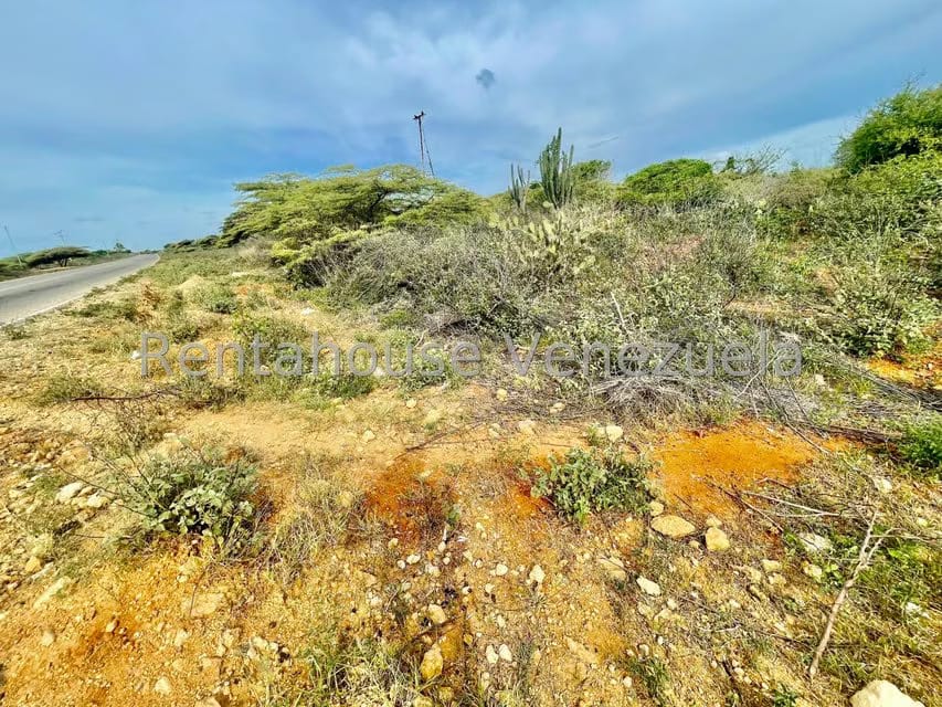 Terreno (Comercial) en Venta en Pueblo Nuevo, Falcon - 18