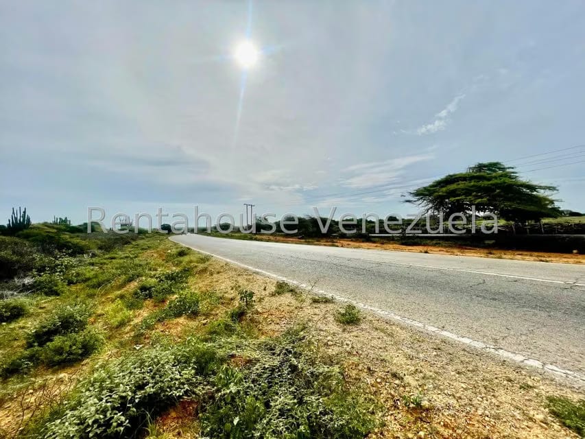 Terreno (Comercial) en Venta en Pueblo Nuevo, Falcon - 19