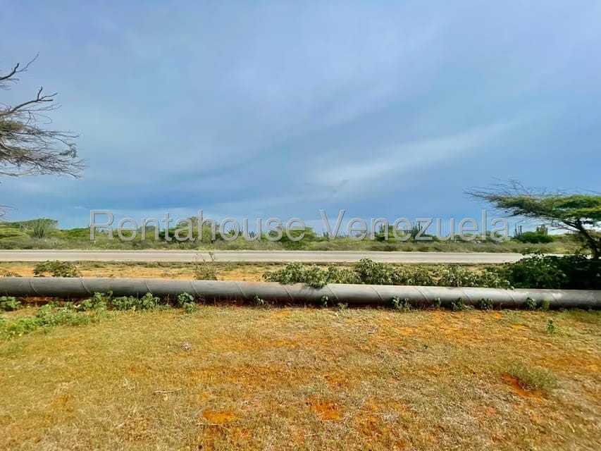 Terreno (Comercial) en Venta en Pueblo Nuevo, Falcon - 3