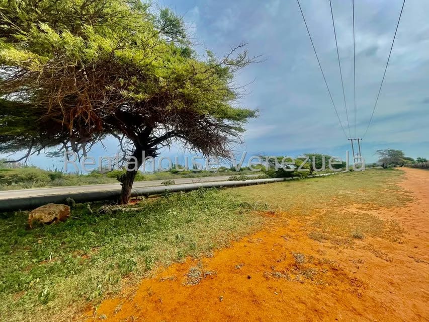 Terreno (Comercial) en Venta en Pueblo Nuevo, Falcon - 21