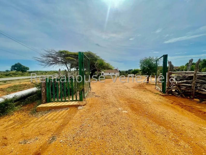 Terreno (Comercial) en Venta en Pueblo Nuevo, Falcon - 27