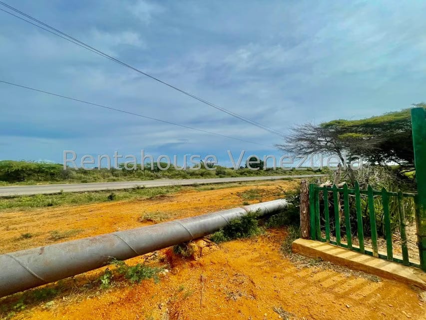 Terreno (Comercial) en Venta en Pueblo Nuevo, Falcon - 28