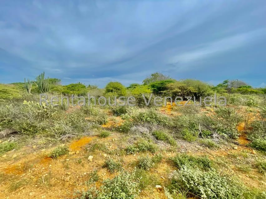 Terreno (Comercial) en Venta en Pueblo Nuevo, Falcon - 10