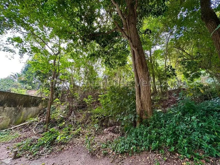 Terreno (Residencial) en Venta en Miranda, Distrito Metropolitano - 4
