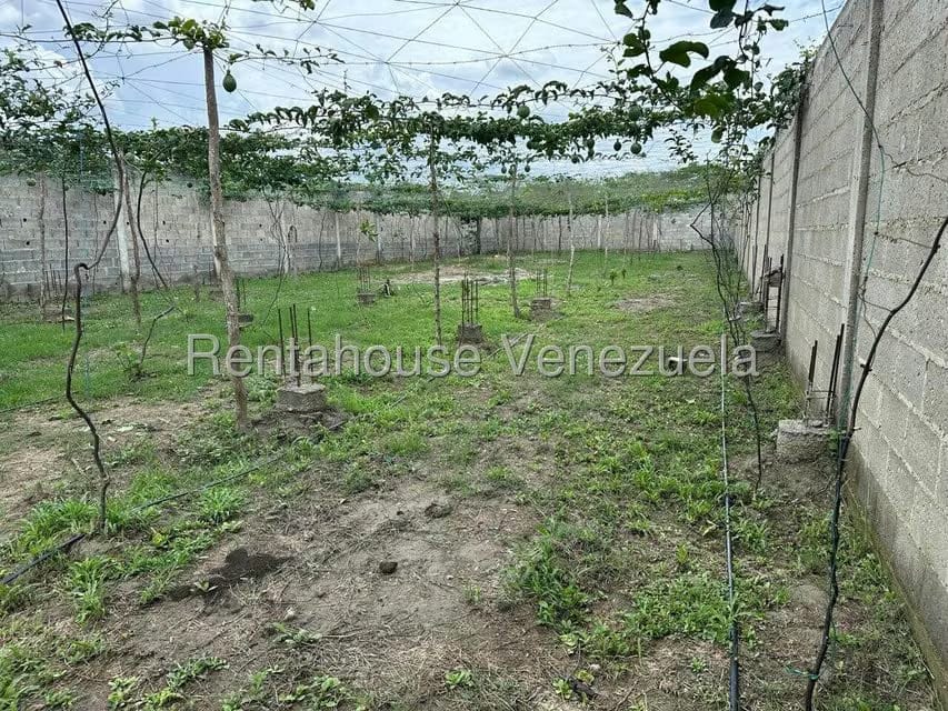 Terreno (Comercial) en Venta en El Placer, Lara - 4