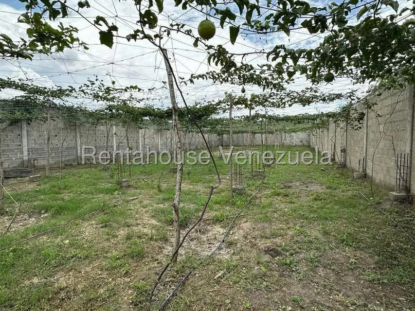 Terreno (Comercial) en Venta en El Placer, Lara - 5
