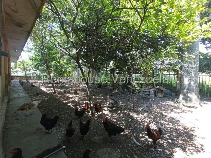Casa (1 Nivel) en Venta en La Castellana, Carabobo - 31