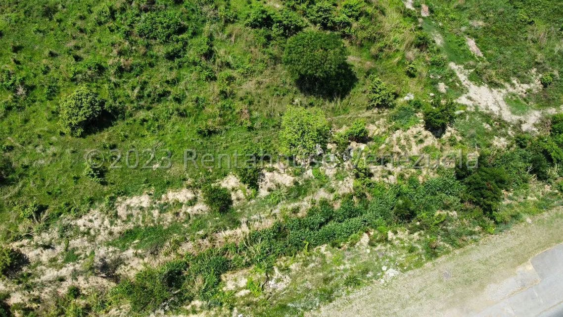 Terreno (Industrial) en Venta en Miraflores, Portuguesa - 11