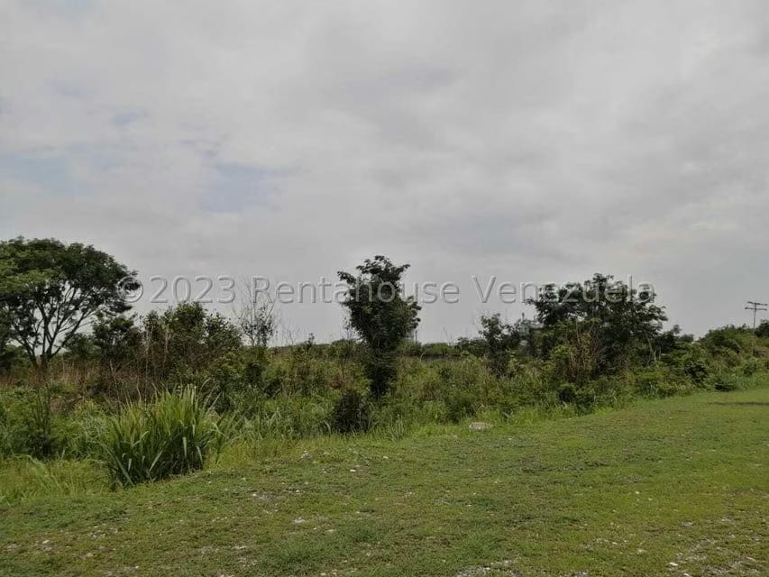 Terreno (Industrial) en Venta en Miraflores, Portuguesa - 14