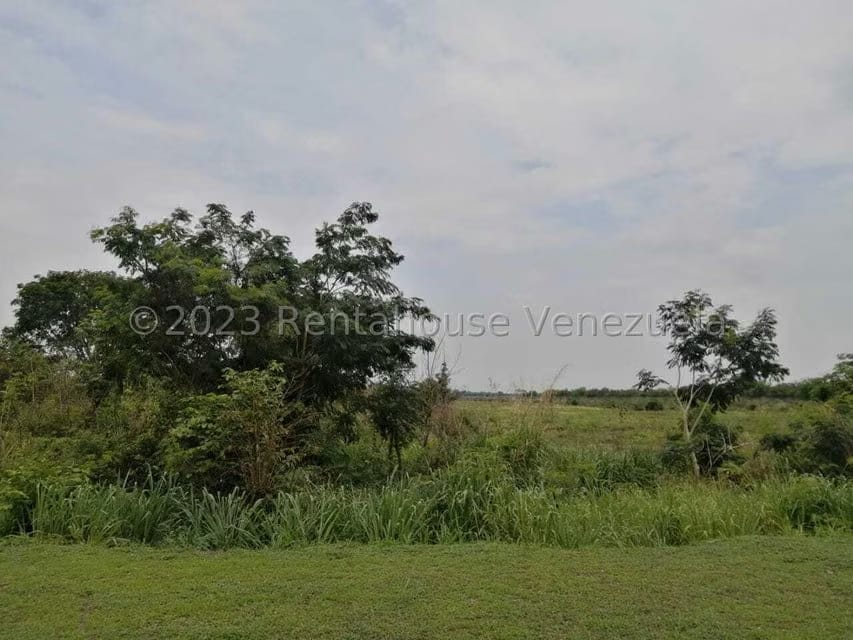 Terreno (Industrial) en Venta en Miraflores, Portuguesa - 15