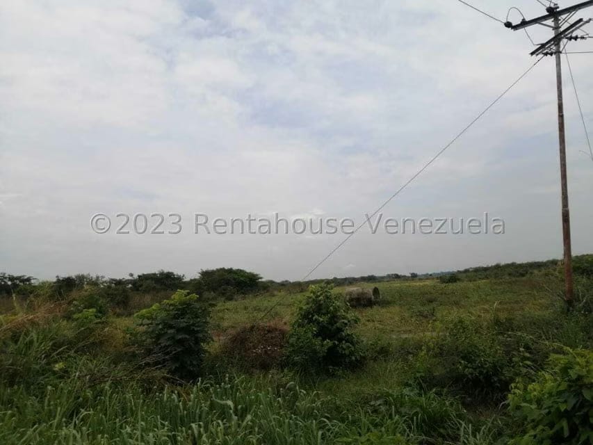 Terreno (Industrial) en Venta en Miraflores, Portuguesa - 17