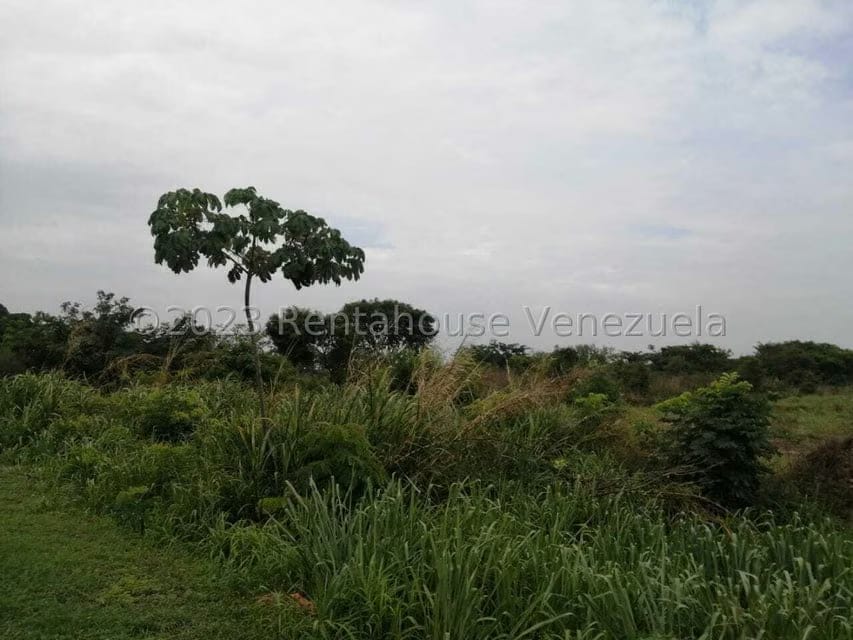 Terreno (Industrial) en Venta en Miraflores, Portuguesa - 18