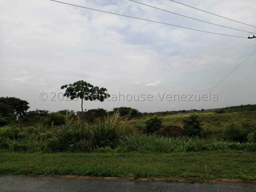 Terreno (Industrial) en Venta en Miraflores, Portuguesa - 19