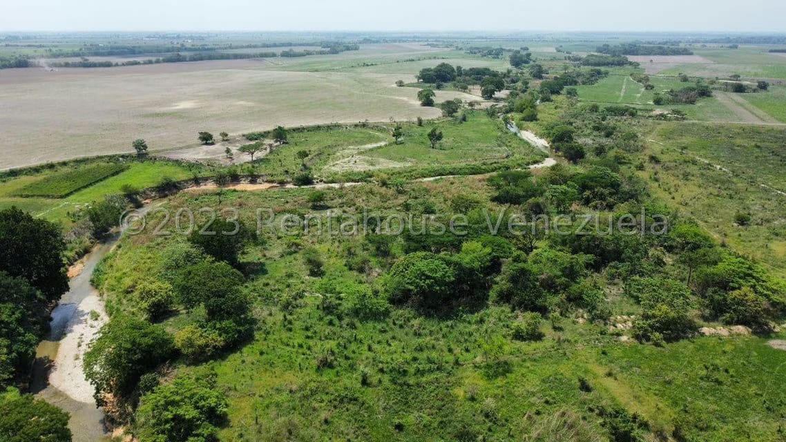 Terreno (Industrial) en Venta en Miraflores, Portuguesa - 8