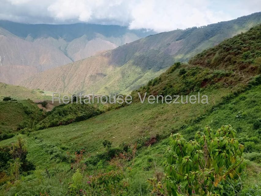 Terreno (Comercial) en Venta en Loma del Medio, Trujillo - 3