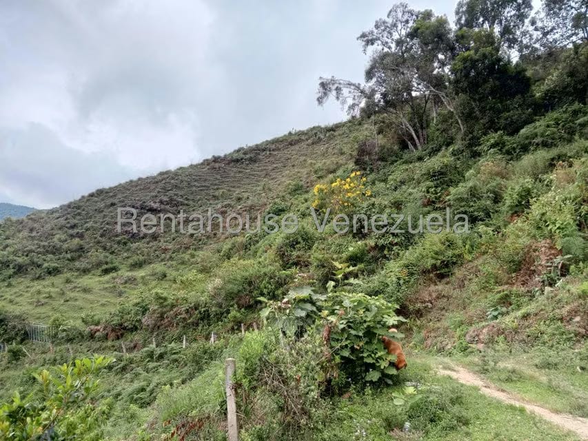 Terreno (Comercial) en Venta en Loma del Medio, Trujillo - 6