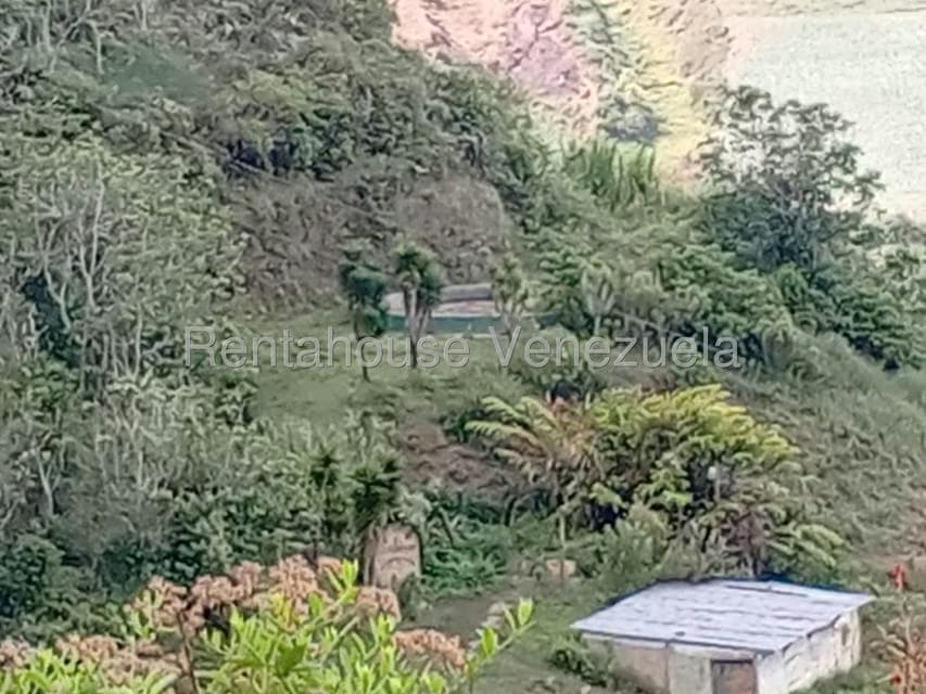 Terreno (Comercial) en Venta en Loma del Medio, Trujillo - 8