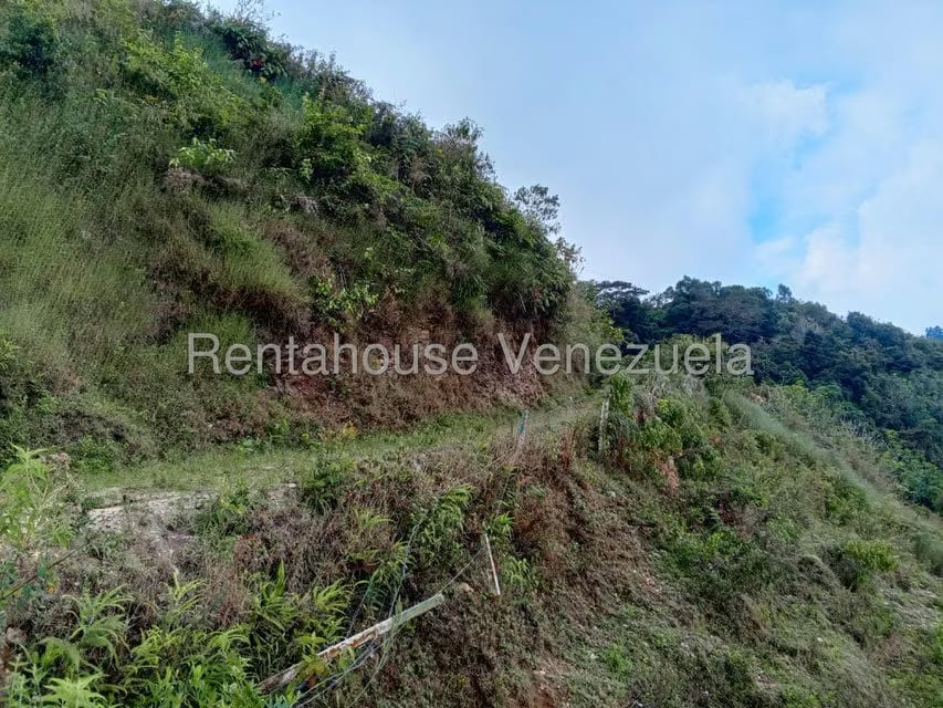 Terreno (Comercial) en Venta en Loma del Medio, Trujillo - 9