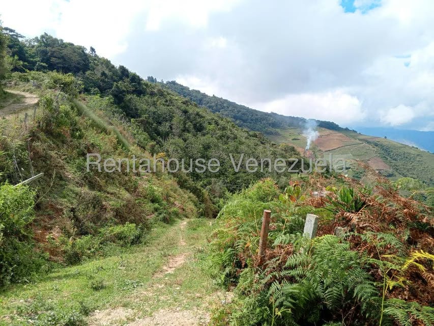 Terreno (Comercial) en Venta en Loma del Medio, Trujillo - 10