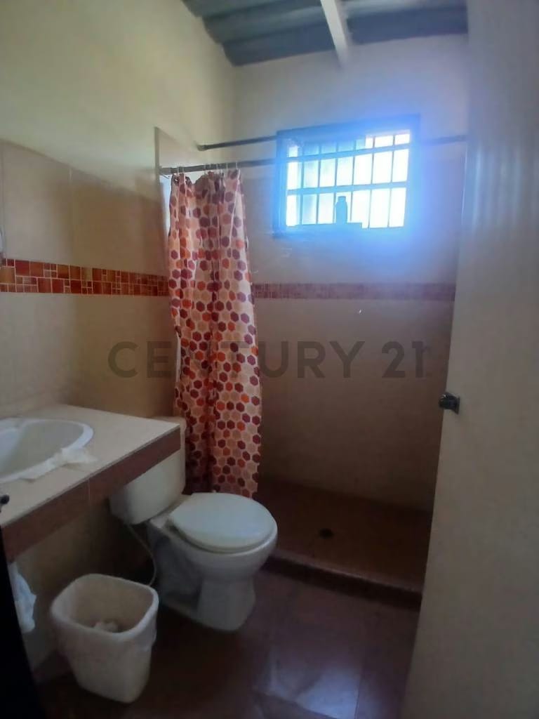 Venta de Galpón - 15