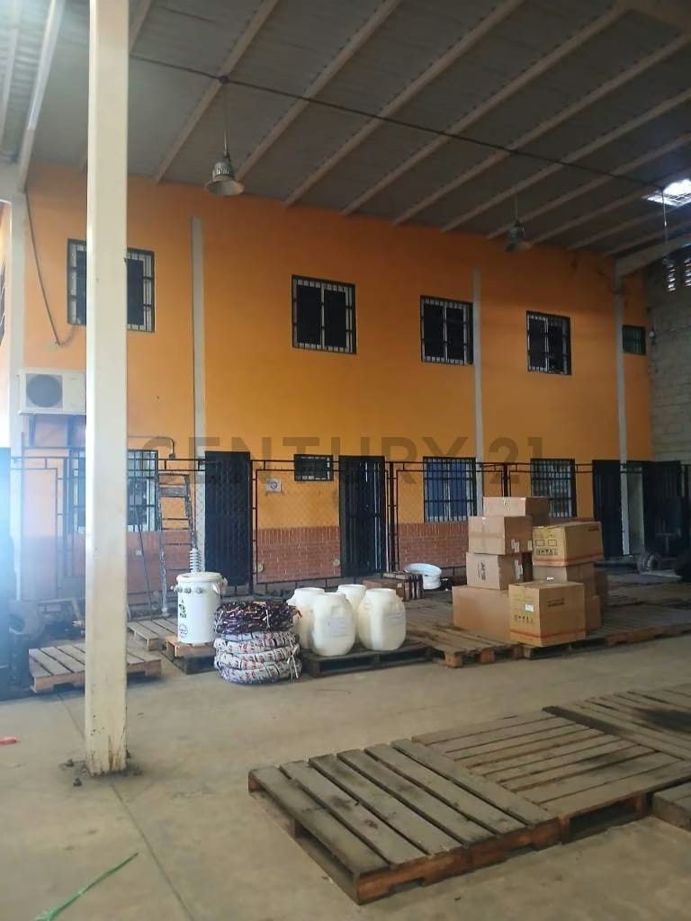 Venta de Galpón - 4