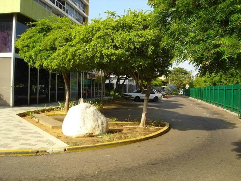 Comercial (Local Comercial) en Alquiler en Avenida Bella Vista, Zulia - 13