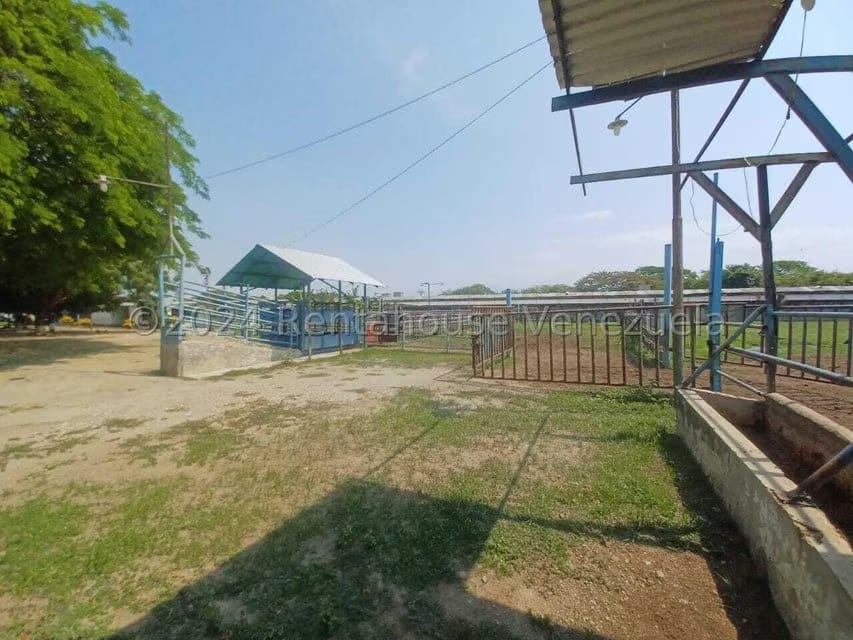 Negocios y Empresas (Alimentos y Bebidas) en Venta en El Mahomo, Aragua - 34