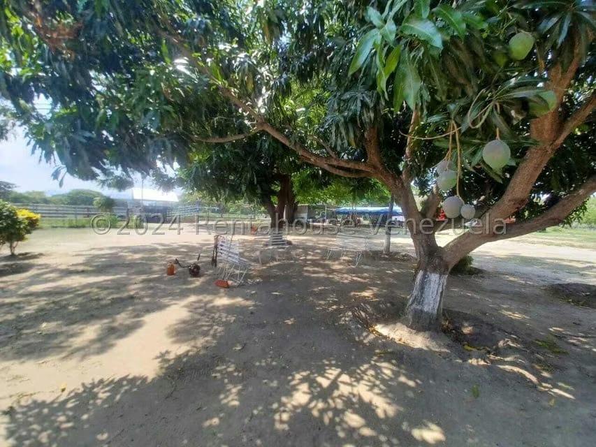 Negocios y Empresas (Alimentos y Bebidas) en Venta en El Mahomo, Aragua - 9