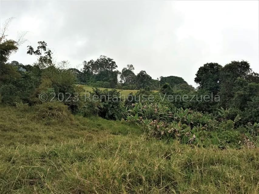 Terreno (Finca) en Venta en Centro, Merida